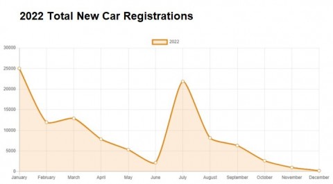 New online car registrations